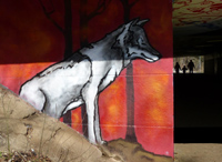 Wolf an der Isar - Wettbewerbsfoto für 'Mein Bild von München'